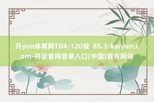 开yun体育网TD4-120报  85.3-kaiyun.com-开云官网登录入口(中国)官方网站
