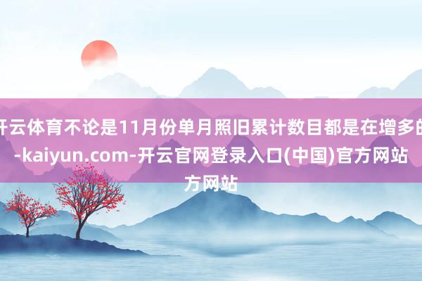 开云体育不论是11月份单月照旧累计数目都是在增多的-kaiyun.com-开云官网登录入口(中国)官方网站