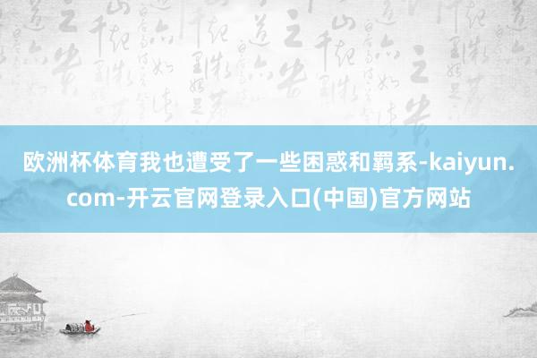 欧洲杯体育我也遭受了一些困惑和羁系-kaiyun.com-开云官网登录入口(中国)官方网站