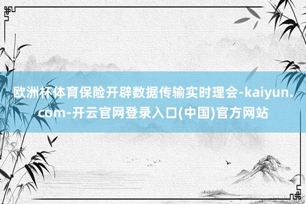 欧洲杯体育保险开辟数据传输实时理会-kaiyun.com-开云官网登录入口(中国)官方网站
