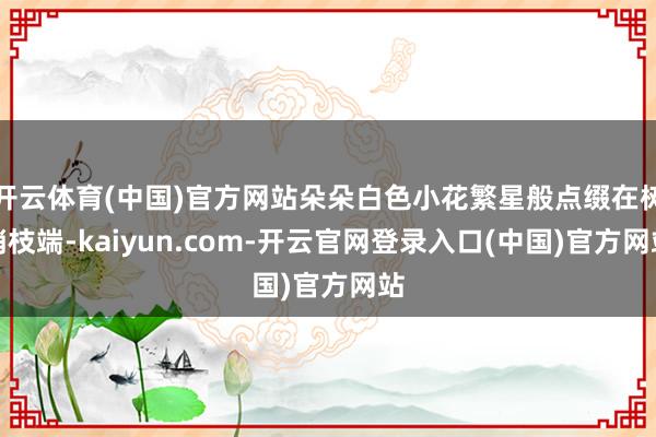 开云体育(中国)官方网站朵朵白色小花繁星般点缀在树梢枝端-kaiyun.com-开云官网登录入口(中国)官方网站