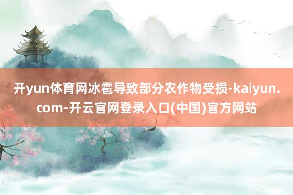 开yun体育网冰雹导致部分农作物受损-kaiyun.com-开云官网登录入口(中国)官方网站